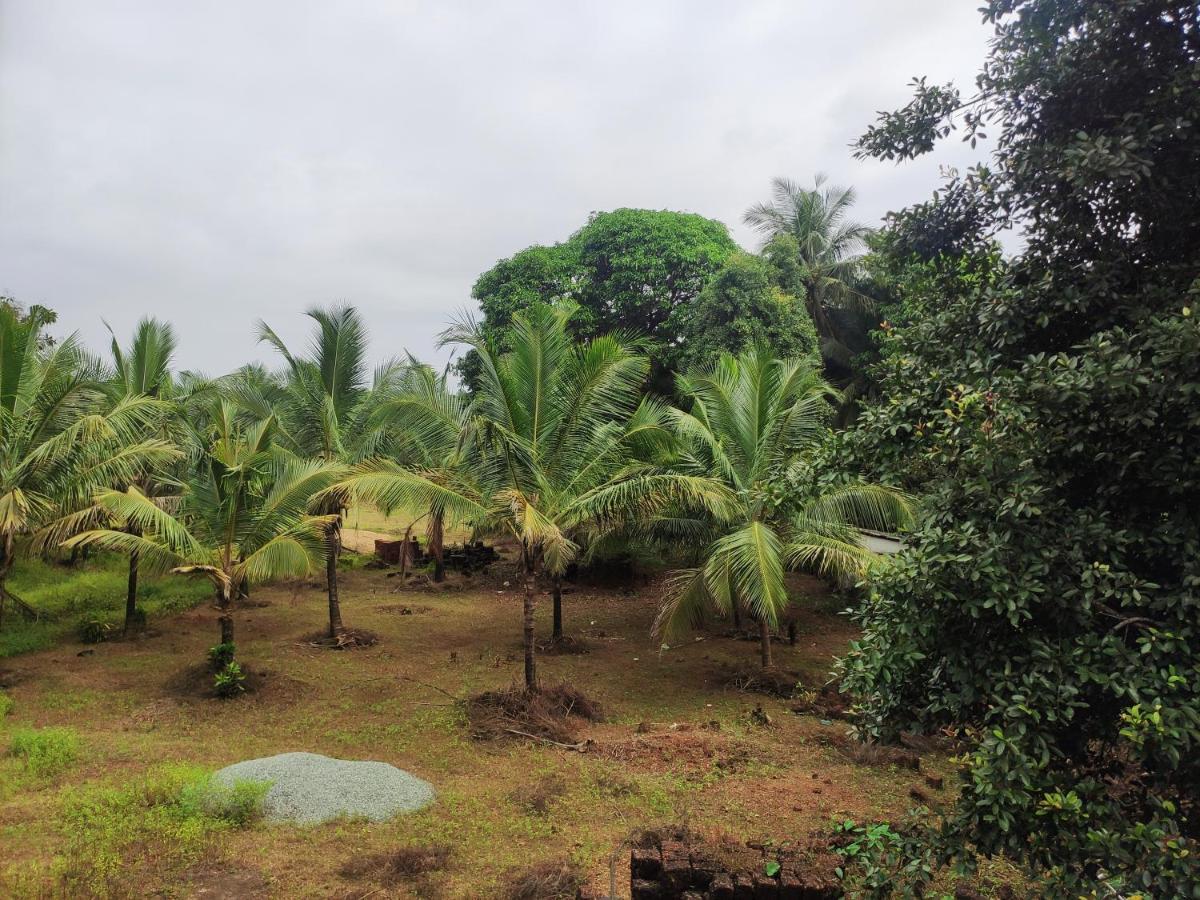 Sunny'S Paradise Gokarna (Karnataka) Habitación foto